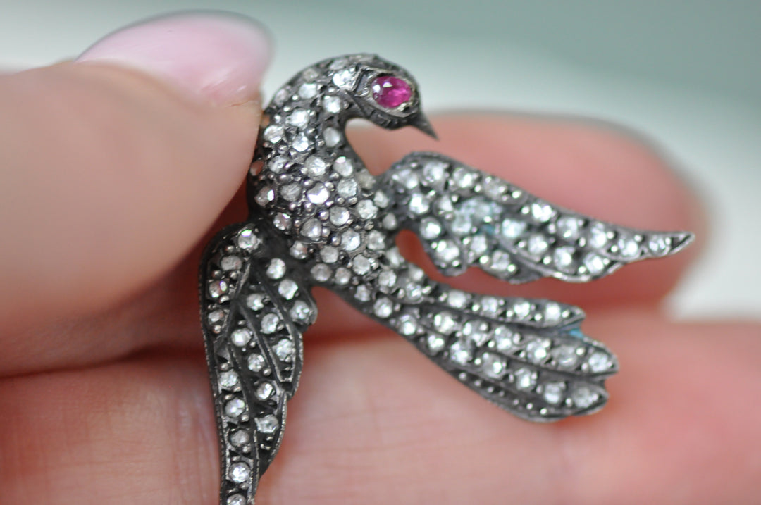 Bird victorian brooche