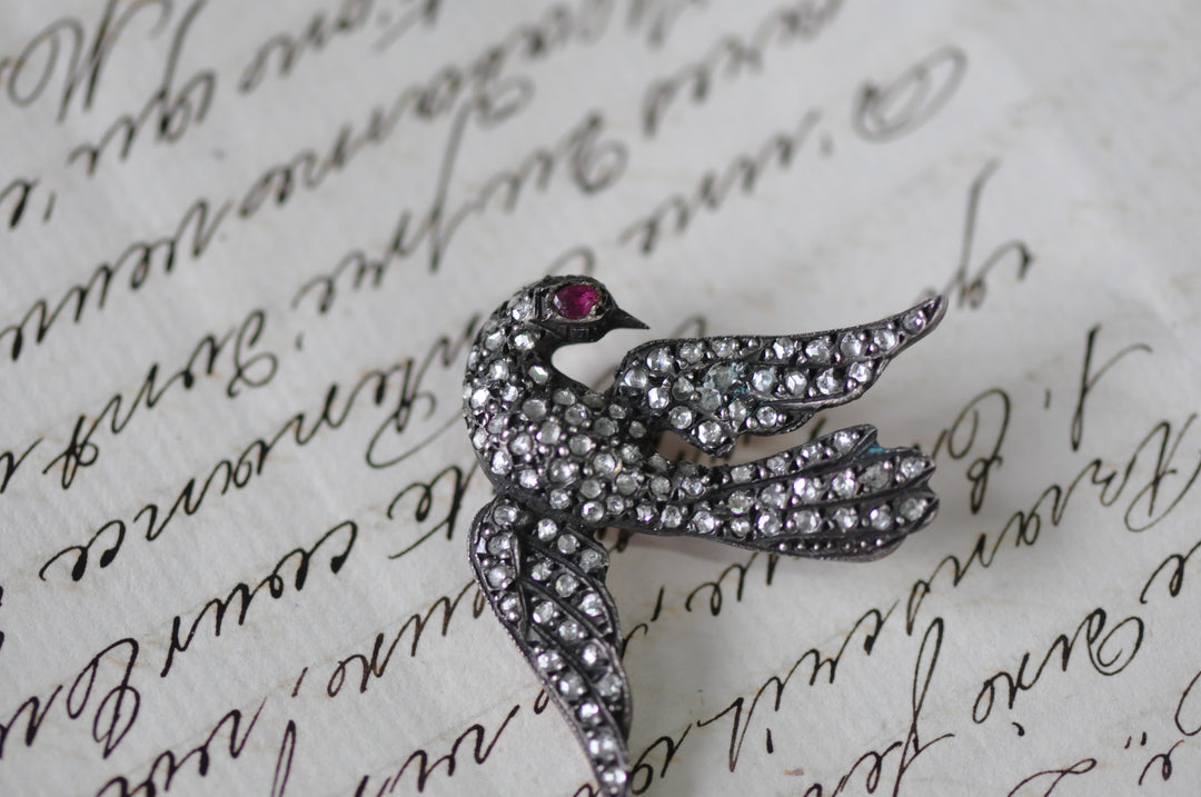 Bird victorian brooche